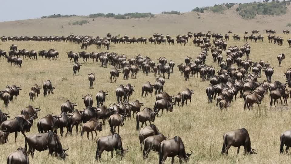 masaimaragamereserve
